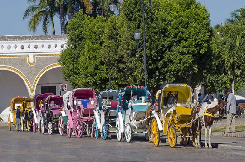 Mágico Cuitzeo - Incredible journey - Habibi-world Travel & Tour 