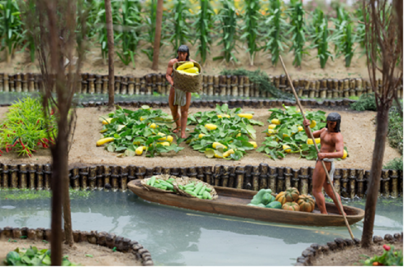 Floating Gardens 0016 - Habibi World Travel & Tour